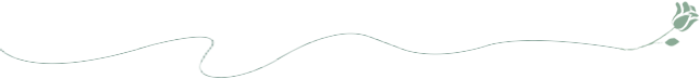 20240715151542_4146 20240715151542_4146